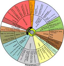 Evaluation Guide Flavor Wheel Home Brew Forums Cool In