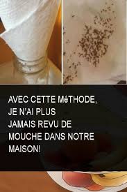 Avec Cette Methode Je N Ai Plus Jamais Revu De Mouche Dans Notre Maison Mouche Maison Methode House Cleaning Tips Helpful Hints Hygiene