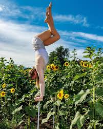 A few of my favorite handstand shots from the sunflower field. Thank you to  @photosbyannefry for being up for my goofy ideas and @lyracakes for  organizing. It was so much fun! I