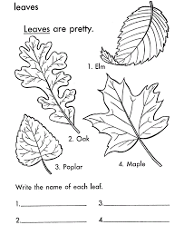 Gardening with children helps strengthen the togetherness time with you as parents. Free Printable Leaf Coloring Pages For Kids