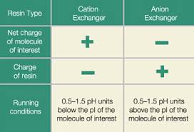 An ion with a net positive charge is called a cation; Ion Exchange Chromatography Lsr Bio Rad