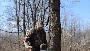 All lone wolf climbing aids and platforms are interchangeable. Lone Wolf Wide Flip Top Climber Combo Climbing Tree Stand