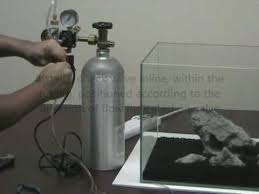 How To Setup A Planted Aquarium Pressurized Co2 System Aquarium Systems Planted Aquarium Co2 Aquarium