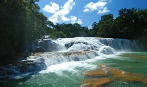 See more waterfalls in central mexico and gulf coast on tripadvisor Aqua Azul The Most Beautiful Waterfalls In Mexico Blog Stories From Our Trips Penguin Travel