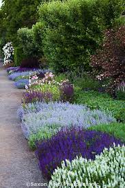 Holt 287 6705 Cr2 Photobotanic Stock Photography Garden Library Plants Garden Design Garden
