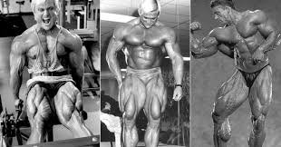 Or, what muscles does a dip station work? The Best Exercises To Bring Up Your Teardrop Quad Muscle Fitness Volt