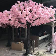 Recensisci per primo questo prodotto. Giapponese Fiore Albero Artificiale Rosa Alberi In Fiore Alberi Ad Alto Fusto Buy Alti Alberi In Fiore Artificiale Rosa Alberi In Fiore Giapponese Fiore Albero Product On Alibaba Com