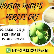 Menjual harumanis secara online semenjak 2014. Kenapa Harum Manis Mahal Harganya Ben Ashaari
