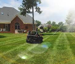 Maybe you would like to learn more about one of these? Southern Exposure Landscape Management Greensboro Nc
