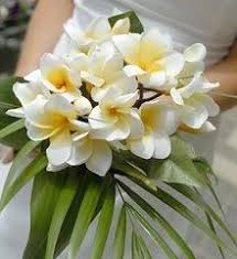 Handheld Plumeria Wedding Bouquet Summer Wedding Bouquets Tropical Wedding Bouquets Bridesmaid Bouquet