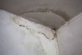 Check spelling or type a new query. What To Do If You Notice A Damp Patch On The Ceiling Don T Ignore It