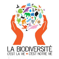 [Article] La biodiversité, est-ce un rêve ?  Images?q=tbn:ANd9GcSafSJeZkNWS4xaHeElKThrOkaQodJU8QadeX2nmPgGrZMGxGpe