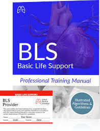 Bls Algorithms 2020 Basic Life Support