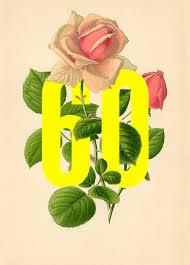 We did not find results for: 60th Flowers Birthday Cards