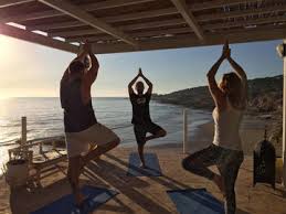 Boutique fitness and yoga studio in the heart of balmain/rozelle. Reviews The Dude Experience