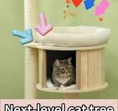 How to Build the Perfect Cat Tree for Your Feline Friend