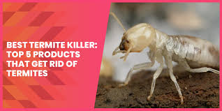 7 best termite killers in 2020. Best Termite Killer Top 5 Products That Get Rid Of Termites Termite Survey