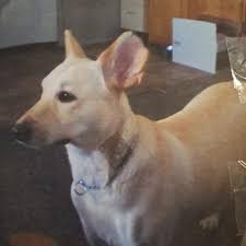 Lonnie Christopher Tew Obituary