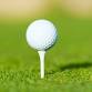 Co-Ed Golf event image