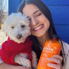 Great Black Friday Deals