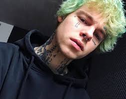 taddl dat adam hydra dat adam taddl und ardy promis