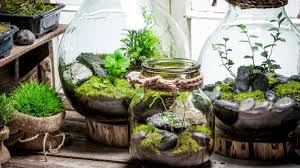 Moos wächst im garten fast überall, auf dem rasen genauso gern wie im blumenbeet, sofern es dort feucht genug ist. Diy Anleitung Fur Deinen Kleinen Garten Im Glas Wmn