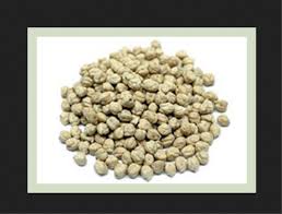 Kabuli chana also popularly known as chickpeas are legumes with high protein content. White Kabuli Chana Kabuli Chole Chole White Chickpea à¤• à¤¬ à¤² à¤šà¤¨ à¤› à¤² à¤šà¤¨ In Rajkot Hdl Global India Private Limited Id 21155038948