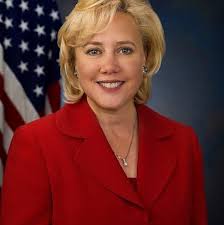 Agent Elisa Amanda updated their...