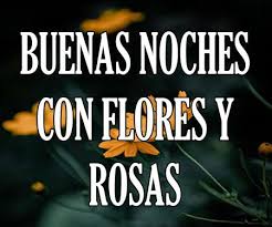 Check spelling or type a new query. Buenas Noches Con Flores Y Rosas Imagenes