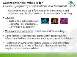 1) if you have a milder case of bacterial gastroenteritis, you may be able to treat your illness at home. Preventing Gastroenteritis In Schools Presentation For Parents And