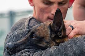U.S. Marine Corps Sgt. Kyle Buffington and LCpl. Benjamin