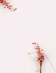 Check spelling or type a new query. Fresh And Dried Flowers On White Background Dried Flowers Pink And White Background White Background
