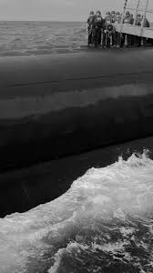 Image result for Omaha Orange 2009 Fleet