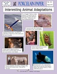 November 2012 Interesting Animal Adaptations Animal Adaptations Animals Plant Adaptations