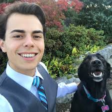 Stark Internet Marketing