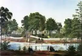 Shadows-on-the-Teche, Bayou-side View by Marie Adrien Persac Reproduction  For Sale