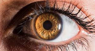 When one considers that an estimated 7 billion people live on planet earth, this means only 210,000,000 million humans have grey as their eye color. The Pros Cons Of Different Eye Colors A Guide Nvision Eye Centers