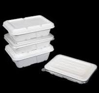Take-Away Fast Food Sugarcane Food Container