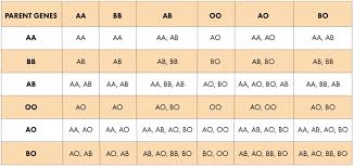 Blood Type Compatability Chart Blood Type Chart For