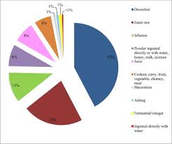 Image result for Xysmalobium heudelotianum