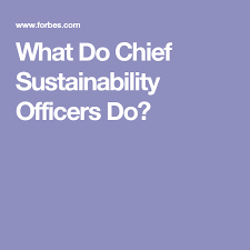 What Do Chief Sustainability Officers Do Sustainability Future Jobs Officer