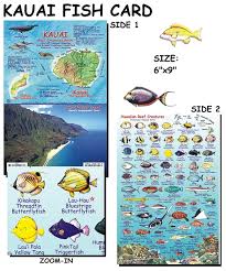 Kauai Reef Creatures Guide Fish Card