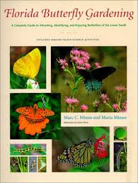We did not find results for: Florida Butterfly Gardening A Complete Guide To Attracting Identifying And Enjoying Butterflies Minno Marc C Minno Maria 9780813016658 Amazon Com Books