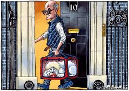 Dominic cummings' own reputation took a battering today as the embittered former aide launched a ferocious attack on boris johnson and the government's coronavirus response. Political Cartoon On Twitter Peter Brookes On No 10 S New Pet Prorogation Dog Brexit Borisjohnsonpm Prorogation Prorogue Generalelection Politics Brexit Nodealbrexit Dominiccummings Cartoon Borisjohnson Boris Political Cartoon