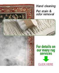 rug cleaning frisco tx kiwi services