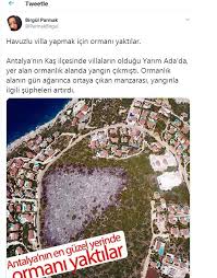 Bir süredir limanda olduğu bildirilen fokun sempatik hareketleri ilgi çekti. Antalya Daki Yangin Tesaduf Mu
