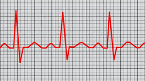 Image result for image of a heartbeat