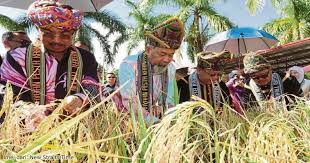 Sebenarnya ramai yang tidak tahu sejarah berkenaan perayaan serta asas ia disambut setiap tahun. Pesta Padi Kata Malaysia