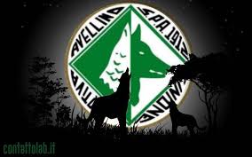 Ripresa degli allenamenti per la calcio avellino ssd. L Avellino Calcio E Fuori Dalla Serie B Il Lupo E Solo Ferito Tornera Piu Forte Di Prima