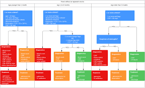 Image result for Fever Without Focus Red Flags